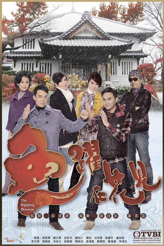 真人秀综艺节目大全2020