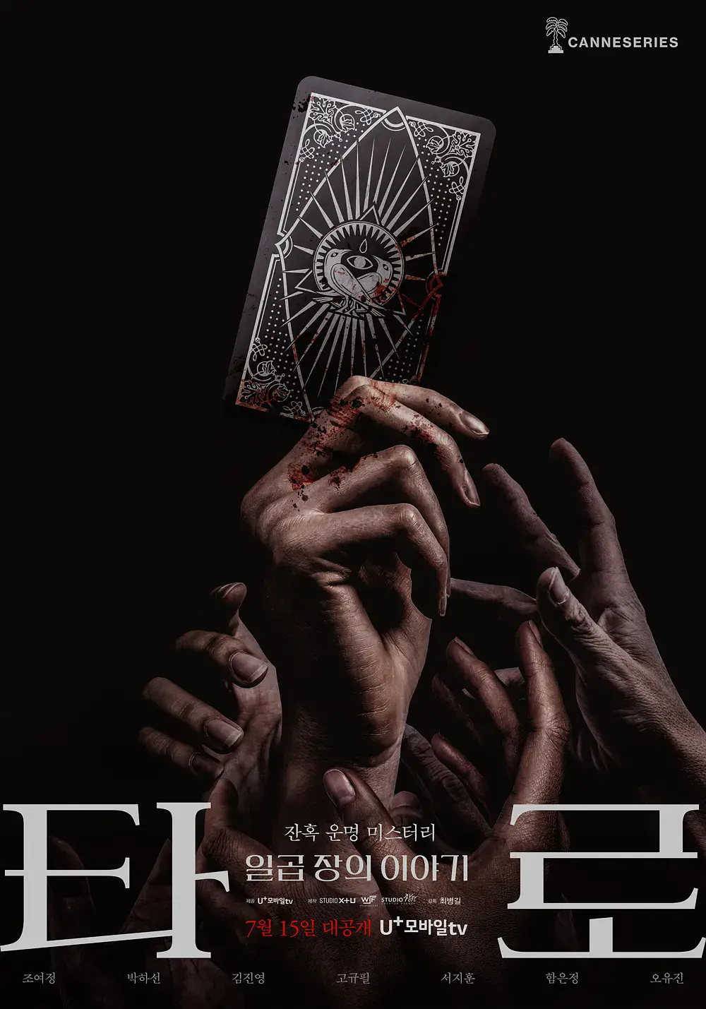偶遇野生大乌龟是好事还是坏事
