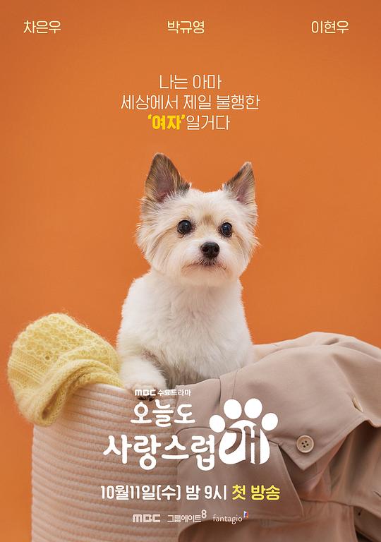 模特直播旧版,模特直播卖货